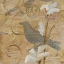 Picture of MORNING SONG II