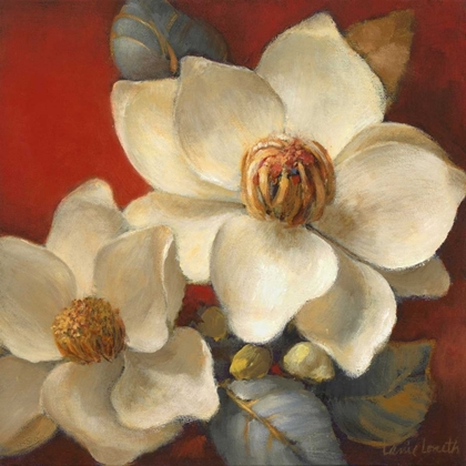 Picture of MAGNOLIA PASSION II