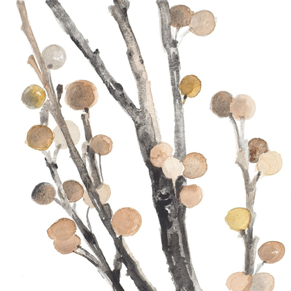 Picture of BERRY STEMS