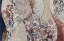 Picture of NEUTRAL PAISLEY COALESCENCE