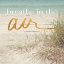 Picture of BREATHE IN THE AIR