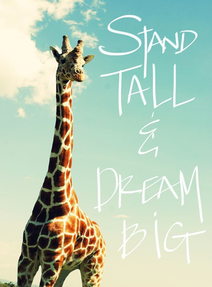 Picture of STAND TALL AND DREAM BIG