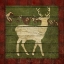 Picture of RUSTIC NATURE ON PLAID II