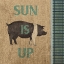 Picture of RISE AND SHINE FARM FRESH I