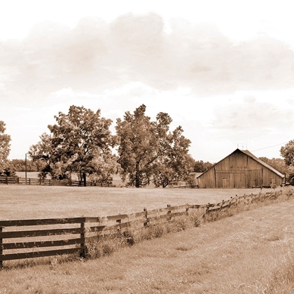 Picture of SIMPLE FARM LIFE