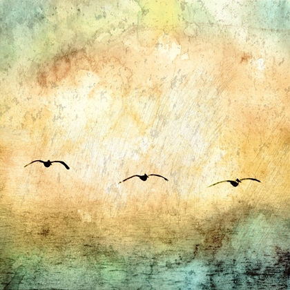 Picture of SEAGULLS IN THE SKY SQUARE III