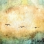 Picture of SEAGULLS IN THE SKY SQUARE III