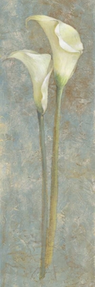 Picture of CALLA LILY II