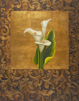 Picture of CALLA LILY WITH ARABESQUE I