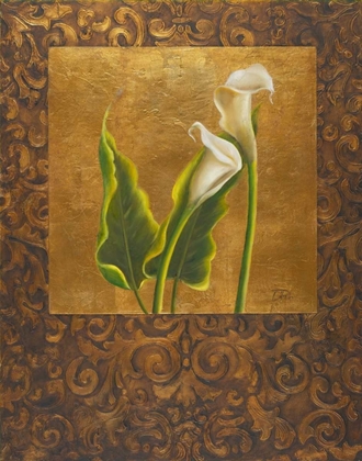 Picture of CALLA LILY WITH ARABESQUE II