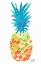 Picture of PUNCHY PINEAPPLE II