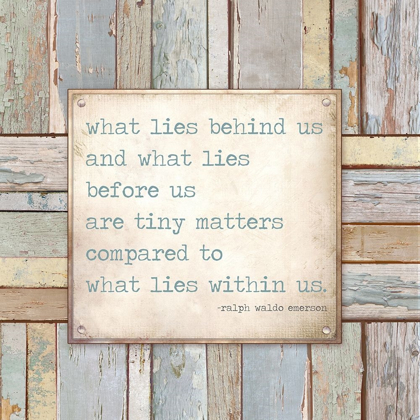 Picture of TINY MATTERS