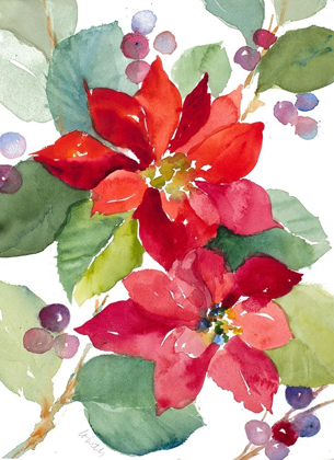 Picture of BERRY POINSETTIAS