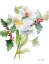 Picture of CHRISTMAS BOUQUET II
