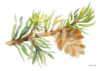 Picture of FIR TREE BRANCH AND CONE