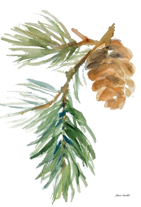 Picture of PINE BRANCH AND CONE