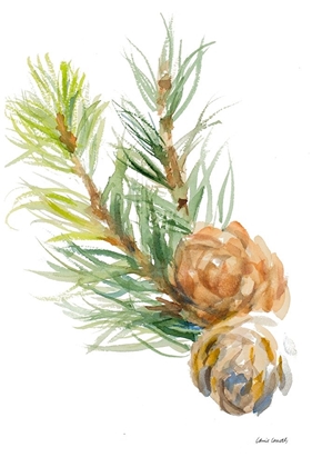 Picture of SPRUCE BRANCHES AND TWO CONES