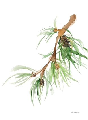 Picture of PINE BRANCH