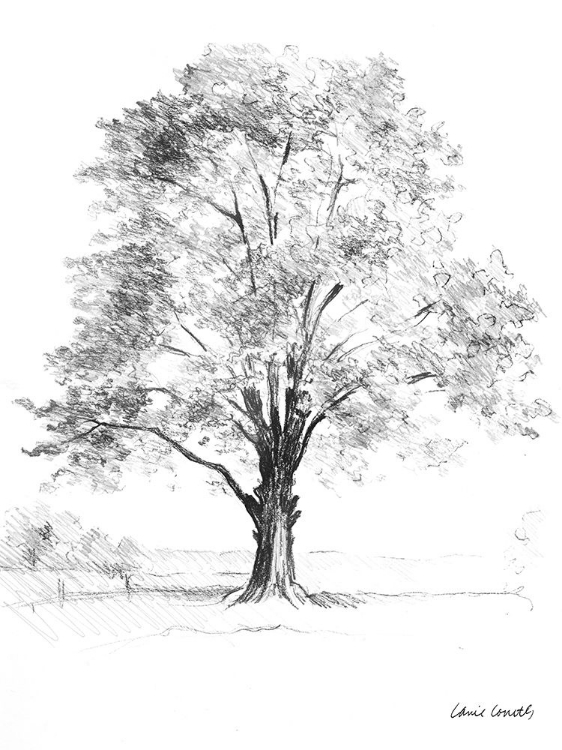 Picture of TREE I