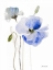 Picture of ALL POPPIES I