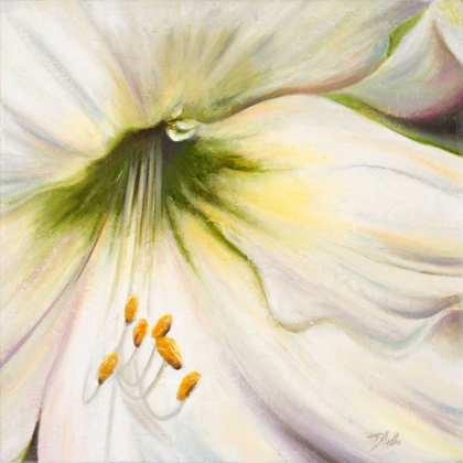 Picture of WHITE LILY II