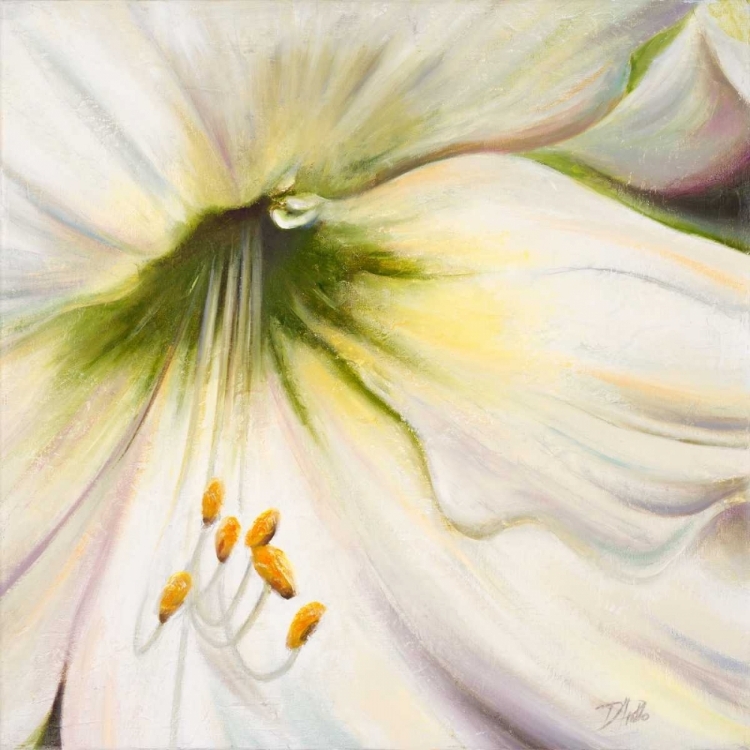 Picture of WHITE LILY II