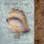 Picture of SHELL II