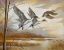 Picture of PINTAILS