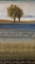 Picture of DESERT PALMS II