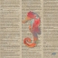 Picture of SEA CREATURES ON NEWSPRINT IV