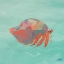 Picture of SEA CREATURES ON TEAL II