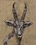 Picture of SERENGETI WILDLIFE II