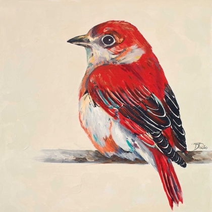 Picture of BABY RED BIRD II