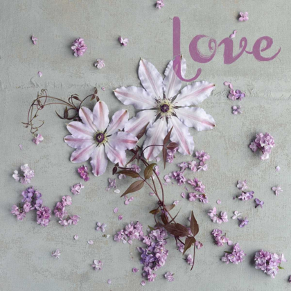 Picture of LOVE