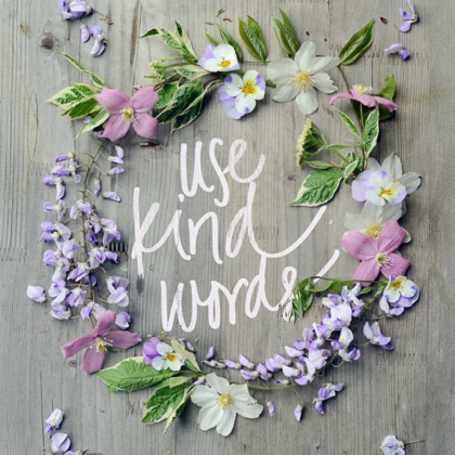 Picture of USE KIND WORDS