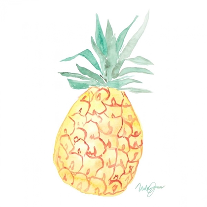 Picture of SINGLE PINEAPPLE
