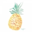 Picture of SINGLE PINEAPPLE