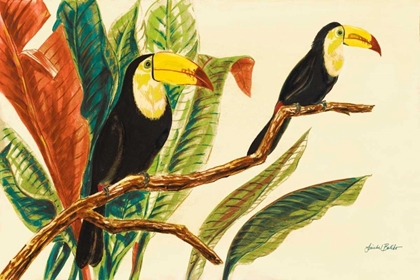Picture of TROPICAL TOUCANS II