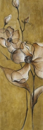 Picture of TRANSLUCENT MAGNOLIAS ON GOLD