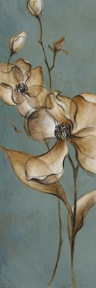 Picture of TRANSLUCENT MAGNOLIAS