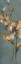 Picture of TRANSLUCENT MAGNOLIAS