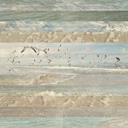Picture of FLYING BEACH BIRDS I