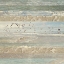 Picture of FLYING BEACH BIRDS I