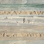 Picture of FLYING BEACH BIRDS II
