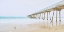 Picture of BEACH PIER VIEW