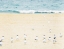 Picture of RELAXED SEAGULLS