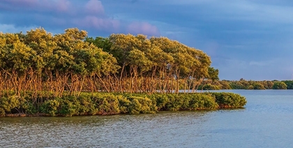 Picture of SUNDOWN BY THE LAKE