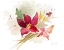 Picture of POINSETTIA SPRAY