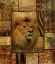 Picture of DECORATIVE SAFARI II (LION)