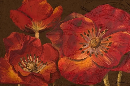 Picture of DAZZLING POPPIES